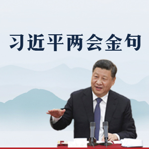 习近平两会金句